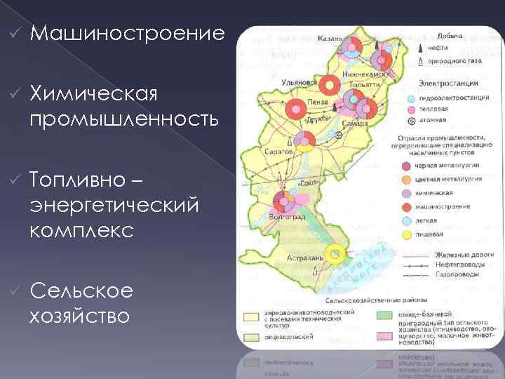 ü Машиностроение ü Химическая промышленность ü Топливно – энергетический комплекс ü Сельское хозяйство 
