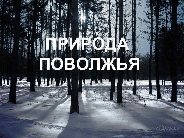 ПРИРОДА ПОВОЛЖЬЯ 