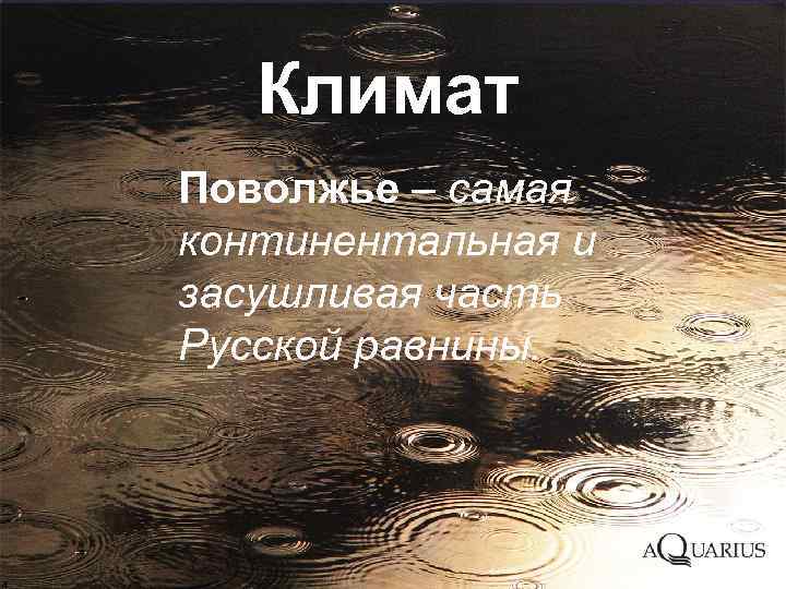 Климат Поволжье – самая континентальная и засушливая часть Русской равнины. 