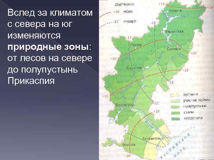 Вслед за климатом с севера на юг изменяются природные зоны: от лесов на севере