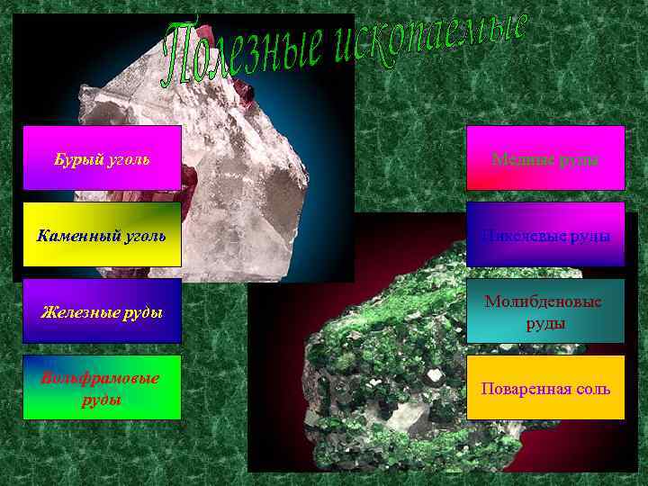 Бурый уголь Медные руды Каменный уголь Никелевые руды Железные руды Молибденовые руды Вольфрамовые руды