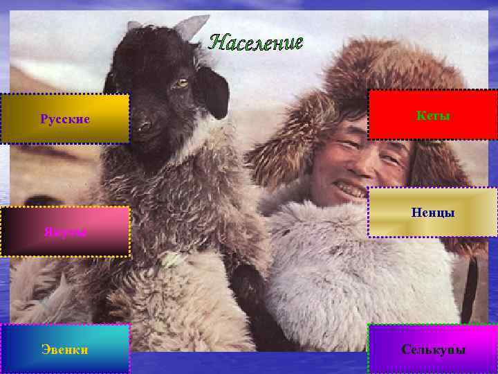 Русские Кеты Ненцы Якуты Эвенки Селькупы 