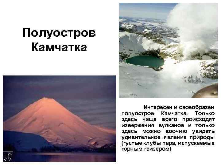Полуостров Камчатка Интересен и своеобразен полуостров Камчатка. Только здесь чаще всего происходят извержения вулканов