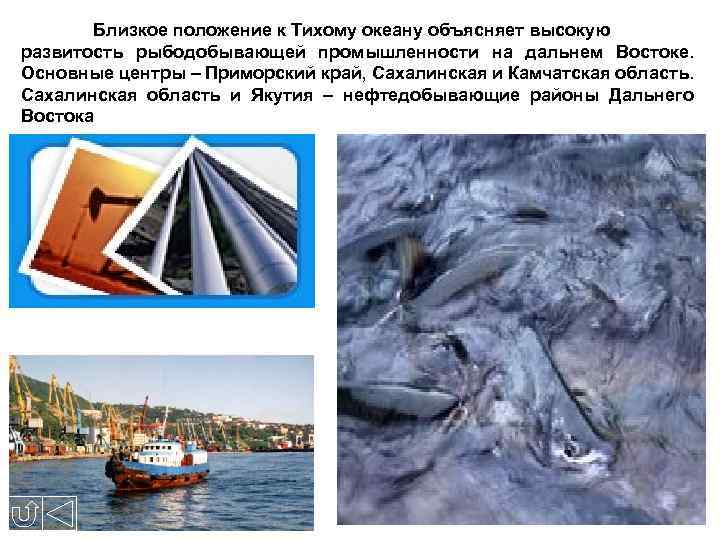 Близкое положение к Тихому океану объясняет высокую развитость рыбодобывающей промышленности на дальнем Востоке. Основные