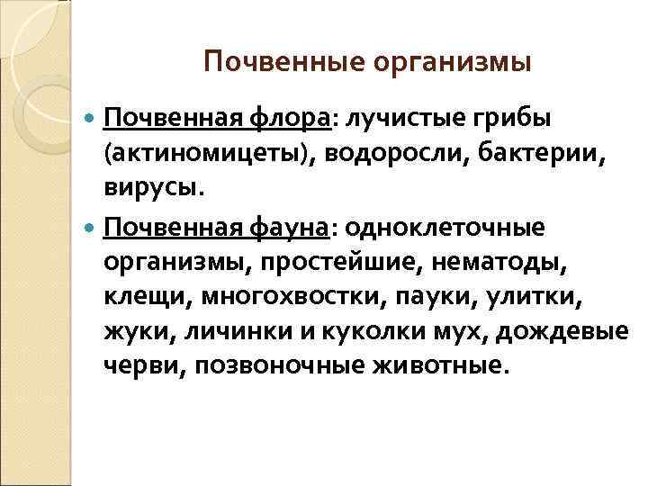 Почвенные организмы Почвенная флора: лучистые грибы (актиномицеты), водоросли, бактерии, вирусы. Почвенная фауна: одноклеточные организмы,