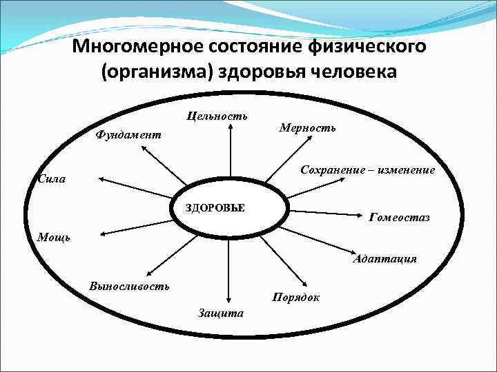 Многомерное состояние физического (организма) здоровья человека Цельность Фундамент Мерность Сохранение – изменение Сила ЗДОРОВЬЕ