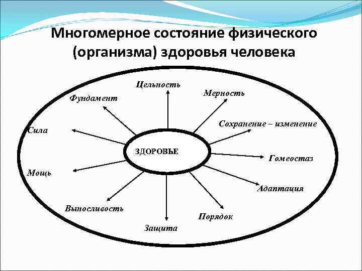 Многомерное состояние физического (организма) здоровья человека Цельность Фундамент Мерность Сохранение – изменение Сила ЗДОРОВЬЕ