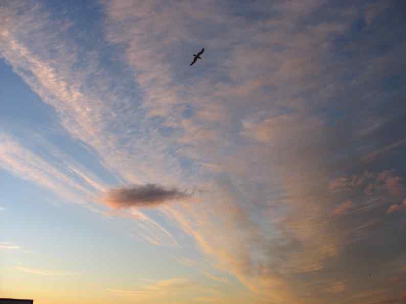 ДЕЛОПРОИЗВОДСТВО 