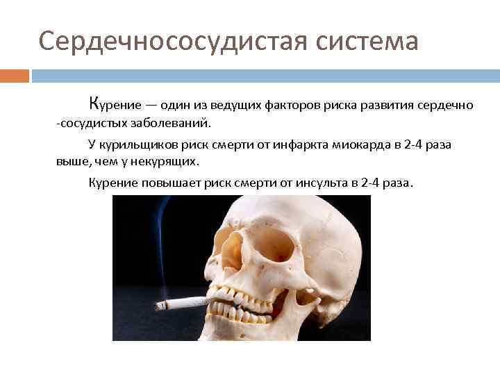 Сердечнососудистая система Курение — один из ведущих факторов риска развития сердечно -сосудистых заболеваний. У