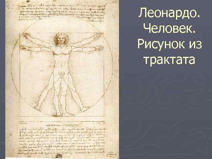 Леонардо. Человек. Рисунок из трактата 