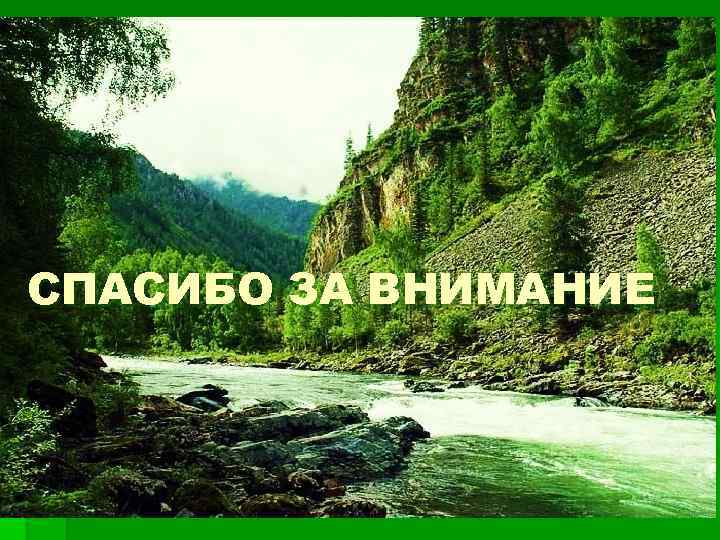 ПОСИНДРОМНАЯ ТЕРАПИЯ § Креон § Лактаза (лактазар) § Лактулоза (Дюфалак, Порталак, Нормазе) § СПАСИБОТранзипег