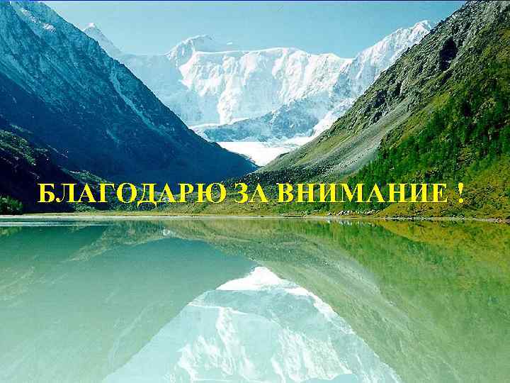 БЛАГОДАРЮ ЗА ВНИМАНИЕ ! 