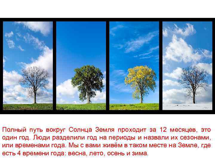 Полный путь вокруг Солнца Земля проходит за 12 месяцев, это один год. Люди разделили