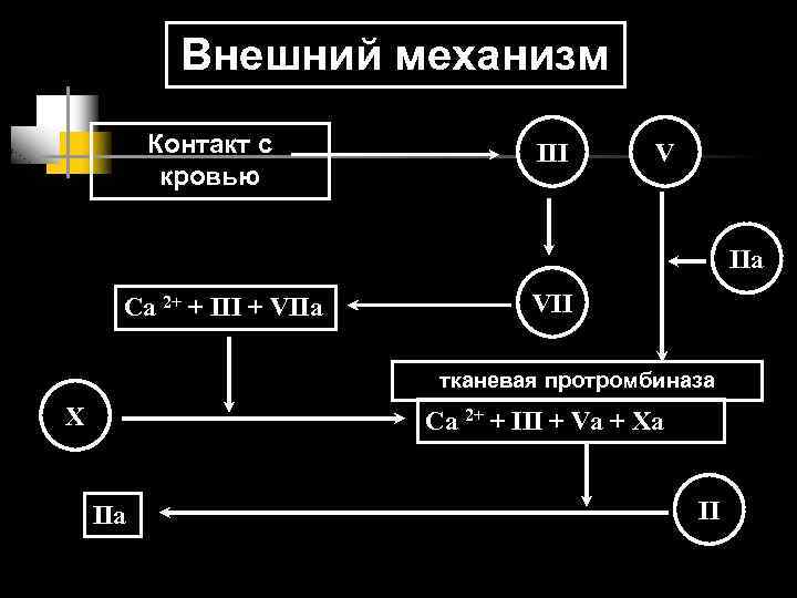 Внешний механизм Контакт с кровью III V IIa Ca 2+ + III + VIIa
