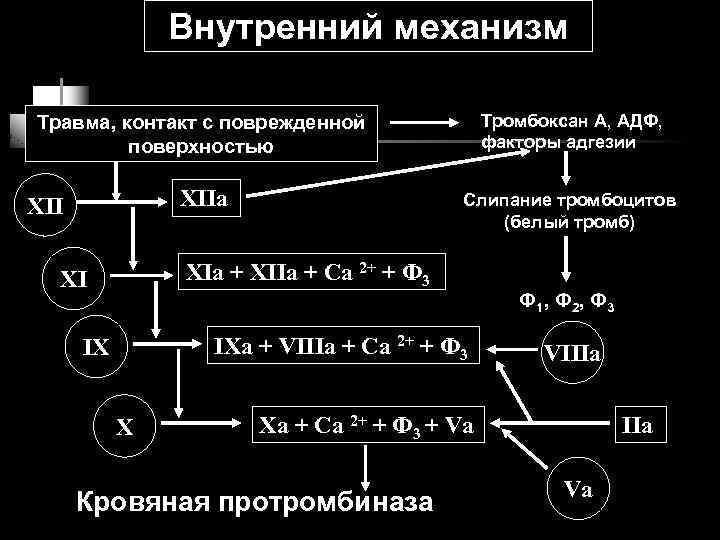 Внутренний механизм Травма, контакт с поврежденной поверхностью Тромбоксан А, АДФ, факторы адгезии XIIa Слипание