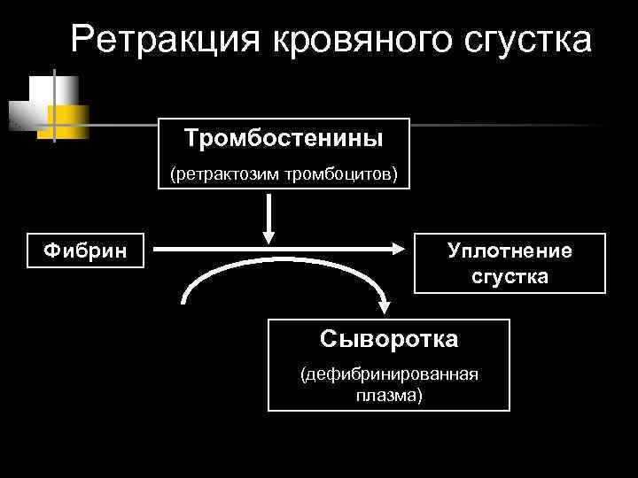 Ретракция кровяного сгустка Тромбостенины (ретрактозим тромбоцитов) Фибрин Уплотнение сгустка Сыворотка (дефибринированная плазма) 