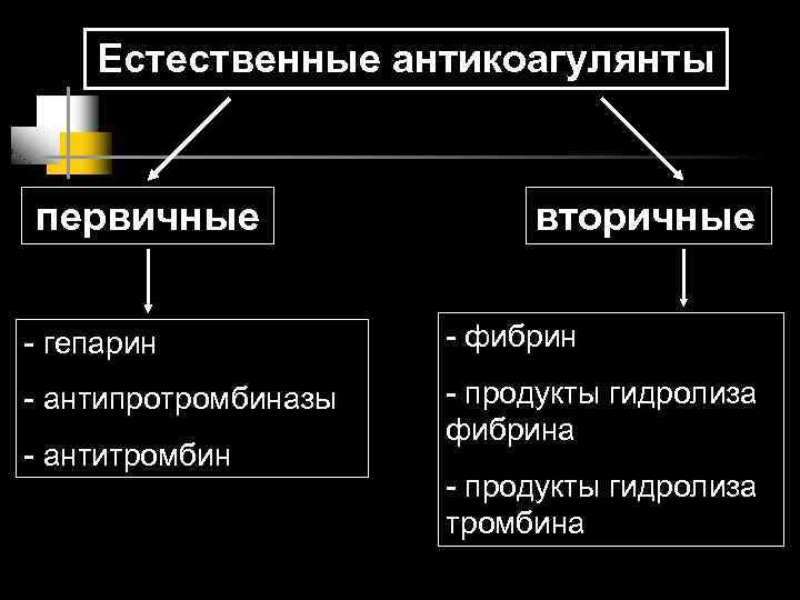 Естественные антикоагулянты первичные вторичные - гепарин - фибрин - антипротромбиназы - продукты гидролиза фибрина