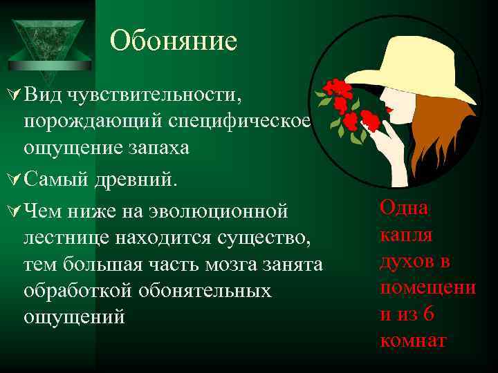 Обоняние Ú Вид чувствительности, порождающий специфическое ощущение запаха Ú Самый древний. Ú Чем ниже