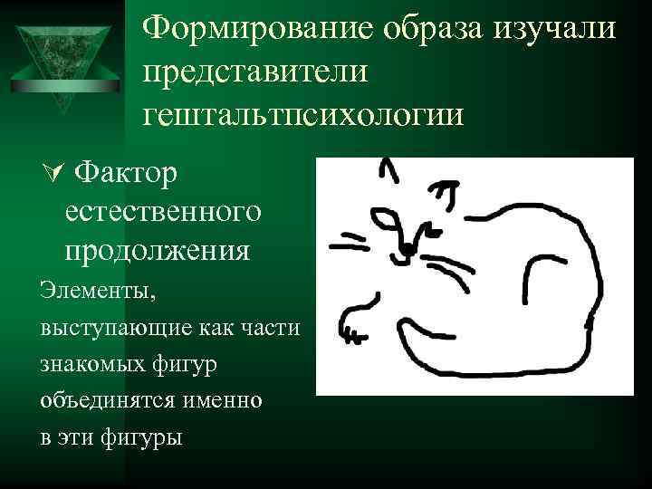 Формирование образа изучали представители гештальтпсихологии Ú Фактор естественного продолжения Элементы, выступающие как части знакомых