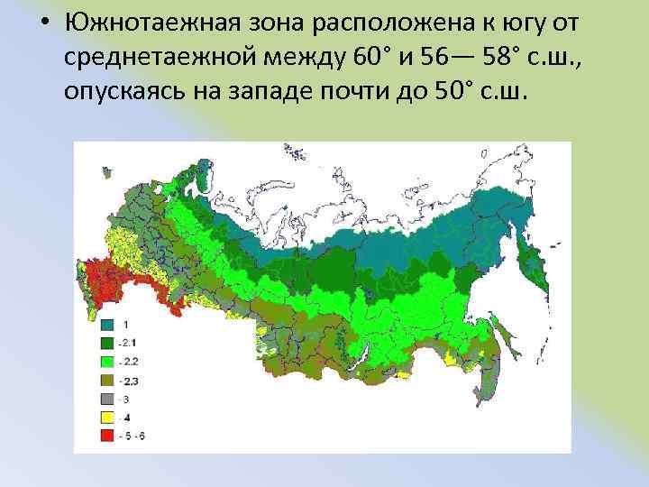  • Южнотаежная зона расположена к югу от среднетаежной между 60° и 56— 58°