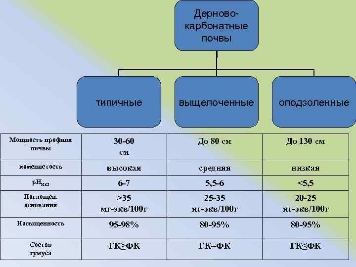 Дерновокарбонатные почвы типичные выщелоченные оподзоленные Мощность профиля почвы 30 -60 см До 80 см