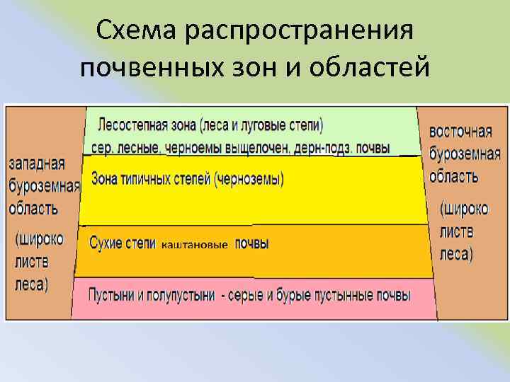 Схема распространения почвенных зон и областей 