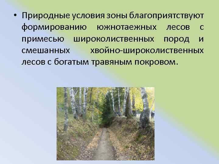  • Природные условия зоны благоприятствуют формированию южнотаежных лесов с примесью широколиственных пород и