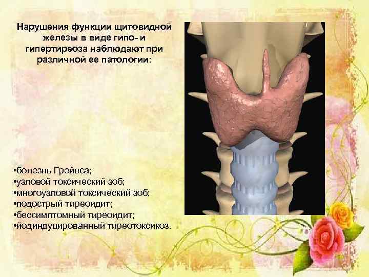 Нарушения функции щитовидной железы в виде гипо- и гипертиреоза наблюдают при различной ее патологии: