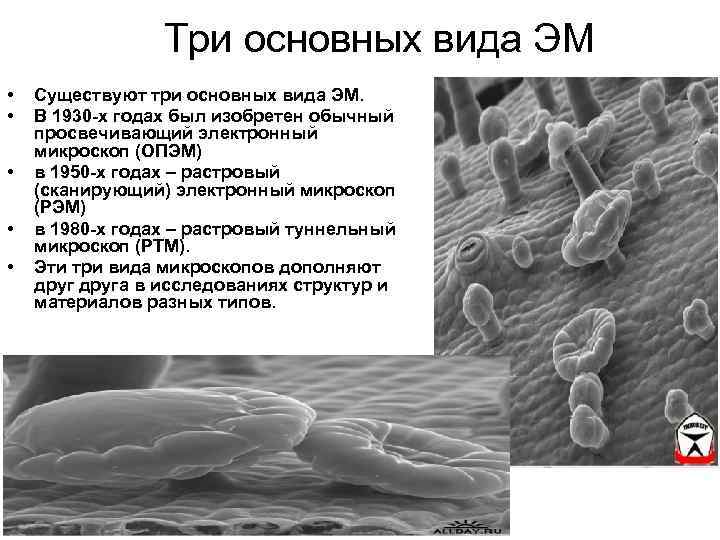 Три основных вида ЭМ • • • Существуют три основных вида ЭМ. В 1930