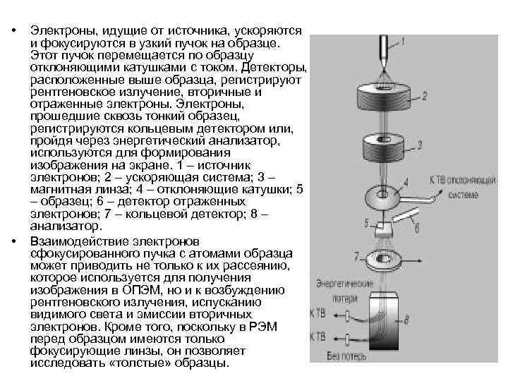  • • Электроны, идущие от источника, ускоряются и фокусируются в узкий пучок на