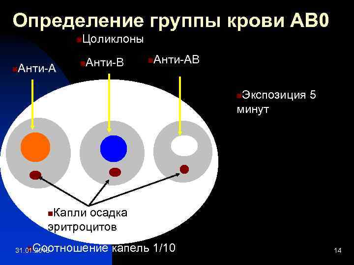 Определение группы крови АВ 0 n n Анти-А Цоликлоны n Анти-В n Анти-АВ Экспозиция