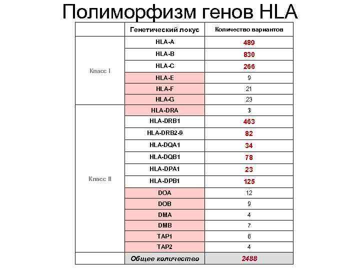 Полиморфизм генов HLA Генетический локус Количество вариантов HLA-A 489 HLA-B 830 HLA-C 266 Класс