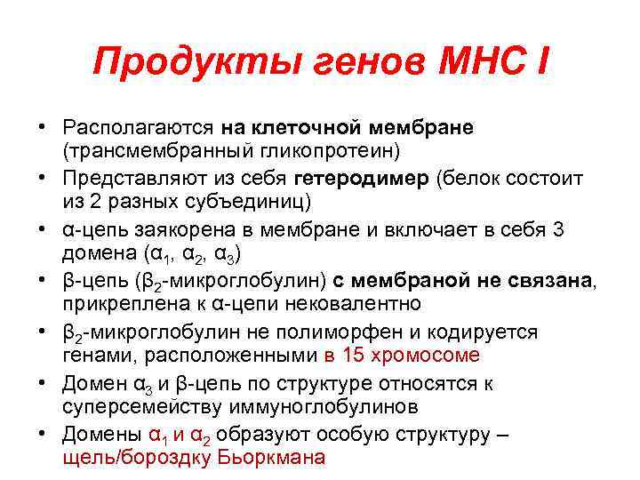  Продукты генов MHC I • Располагаются на клеточной мембране (трансмембранный гликопротеин) • Представляют