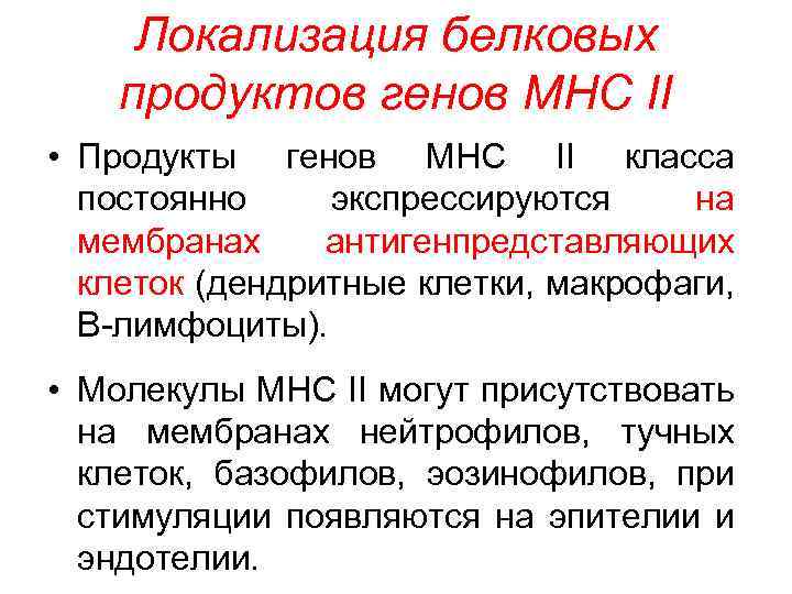  Локализация белковых продуктов генов MHC II • Продукты генов MHC II класса постоянно