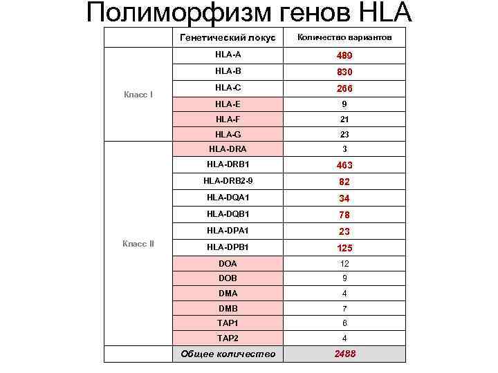 Полиморфизм генов HLA Генетический локус Количество вариантов HLA-A 489 HLA-B 830 HLA-C 266 Класс