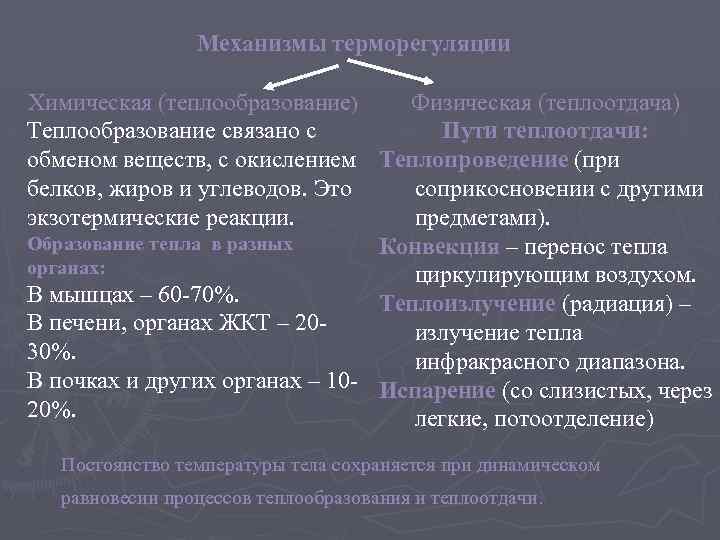 Механизмы терморегуляции Химическая (теплообразование) Физическая (теплоотдача) Теплообразование связано с Пути теплоотдачи: обменом веществ, с