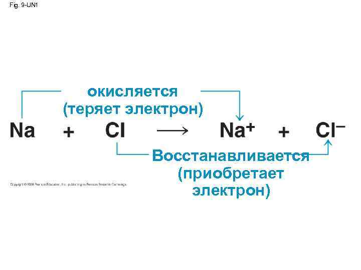 Fig. 9 -UN 1 окисляется (теряет электрон) Восстанавливается (приобретает электрон) 