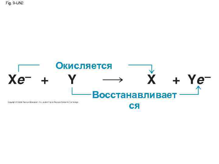 Fig. 9 -UN 2 Окисляется Восстанавливает ся 