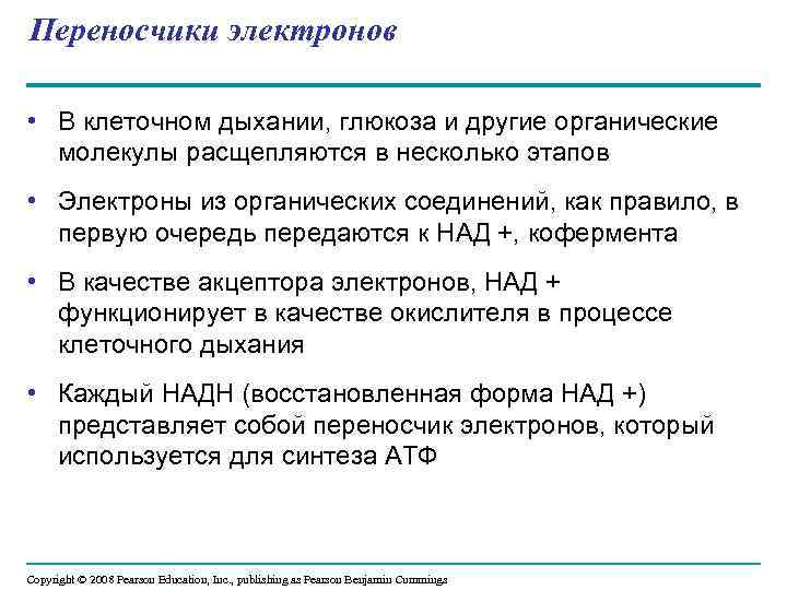 Переносчики электронов • В клеточном дыхании, глюкоза и другие органические молекулы расщепляются в несколько