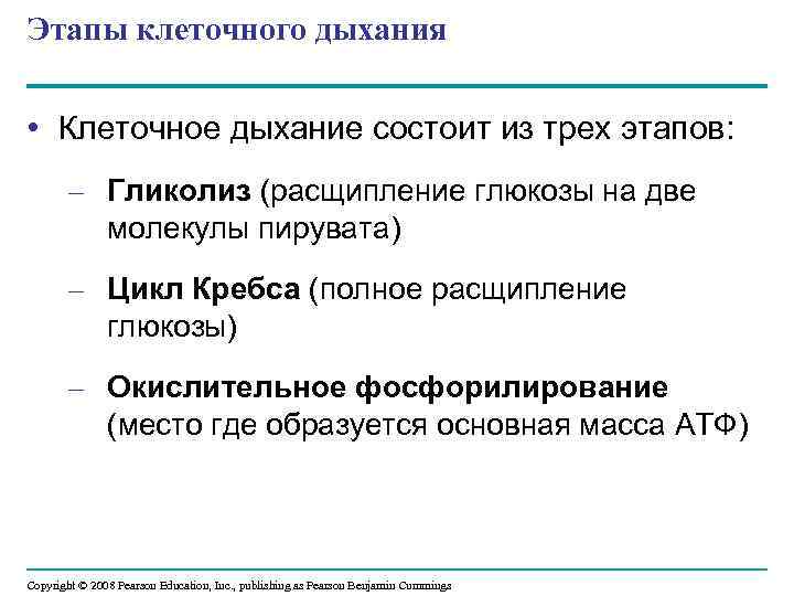Этапы клеточного дыхания • Клеточное дыхание состоит из трех этапов: – Гликолиз (расщипление глюкозы
