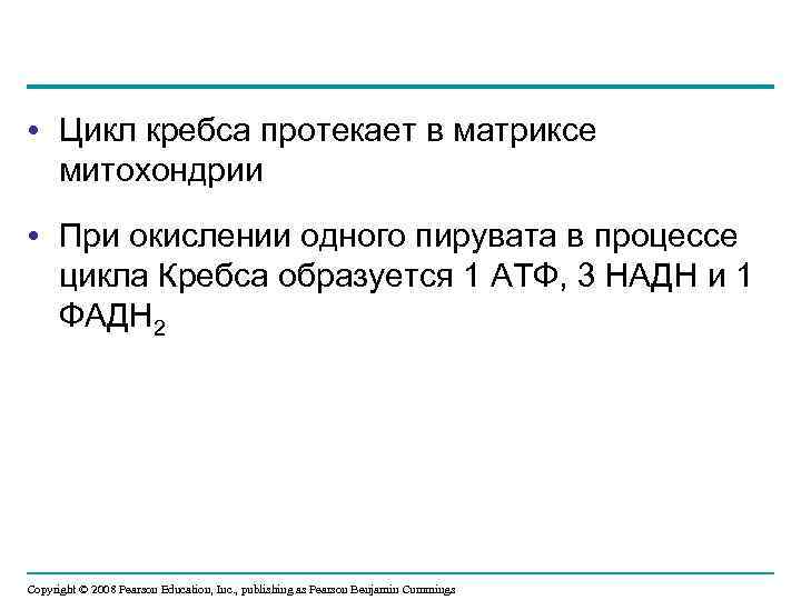  • Цикл кребса протекает в матриксе митохондрии • При окислении одного пирувата в