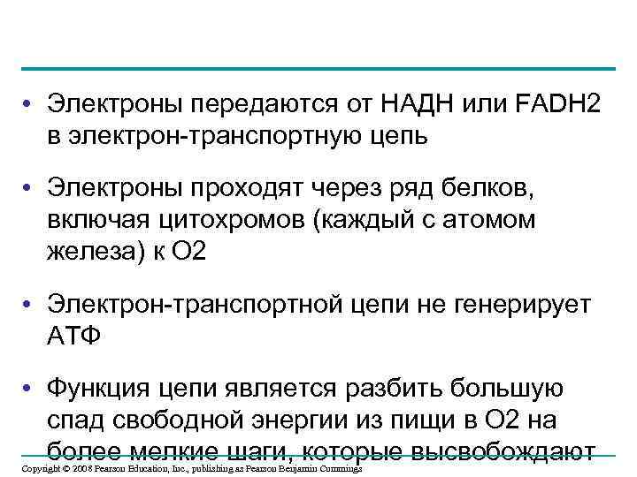  • Электроны передаются от НАДН или FADH 2 в электрон-транспортную цепь • Электроны