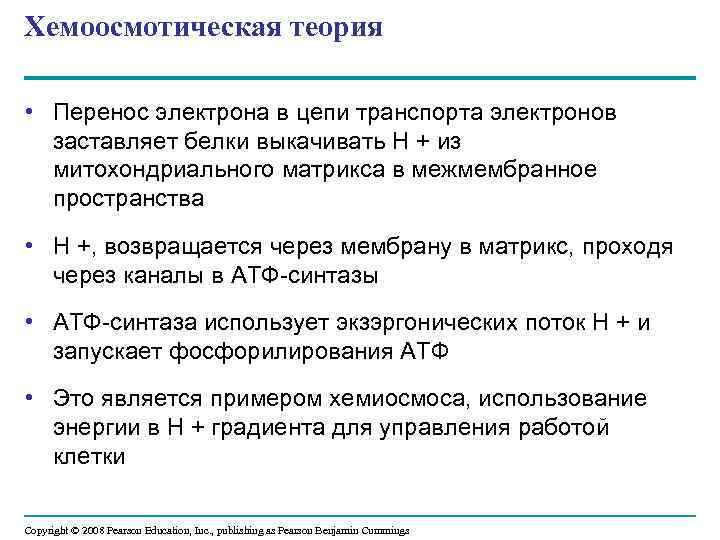 Хемоосмотическая теория • Перенос электрона в цепи транспорта электронов заставляет белки выкачивать Н +
