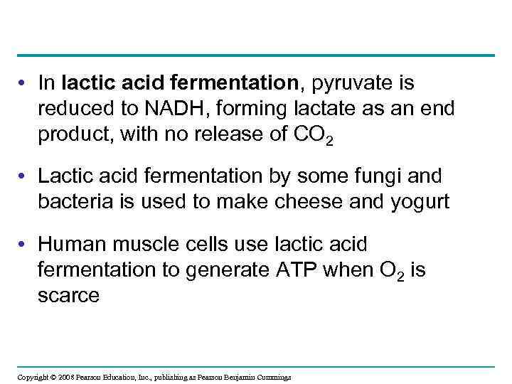  • In lactic acid fermentation, pyruvate is reduced to NADH, forming lactate as
