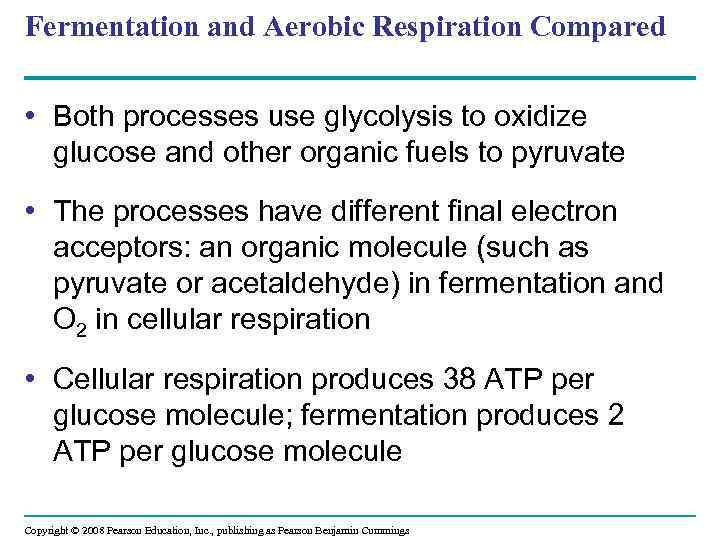 Fermentation and Aerobic Respiration Compared • Both processes use glycolysis to oxidize glucose and
