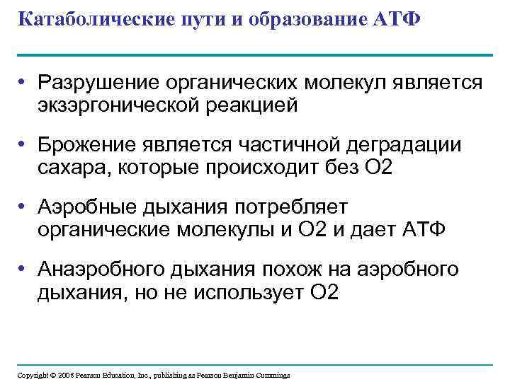 Катаболические пути и образование АТФ • Разрушение органических молекул является экзэргонической реакцией • Брожение