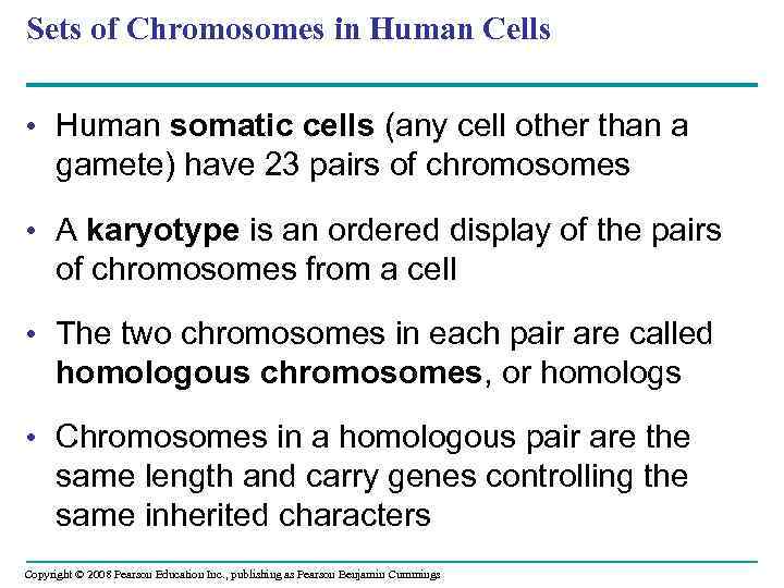 Sets of Chromosomes in Human Cells • Human somatic cells (any cell other than