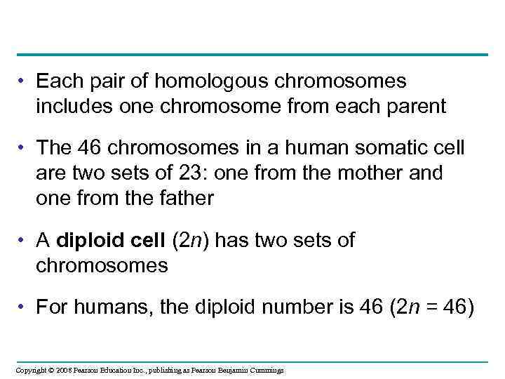  • Each pair of homologous chromosomes includes one chromosome from each parent •