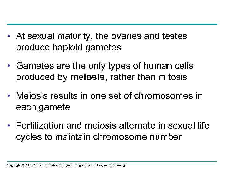  • At sexual maturity, the ovaries and testes produce haploid gametes • Gametes