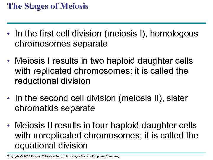 The Stages of Meiosis • In the first cell division (meiosis I), homologous chromosomes